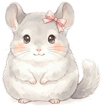 相棒のチンチラのイラスト